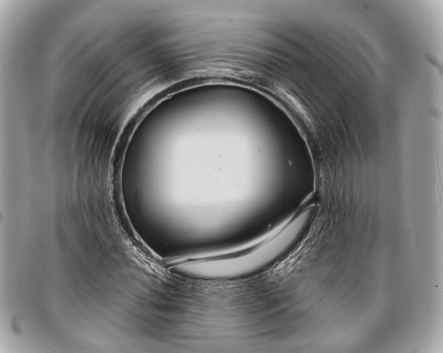 X0000096991020200802221452