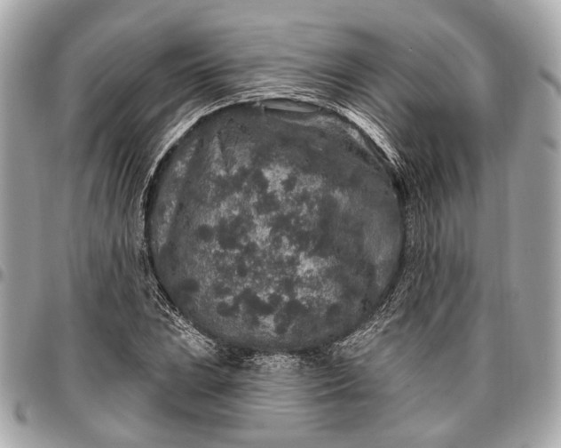 X0000096991023200802221452