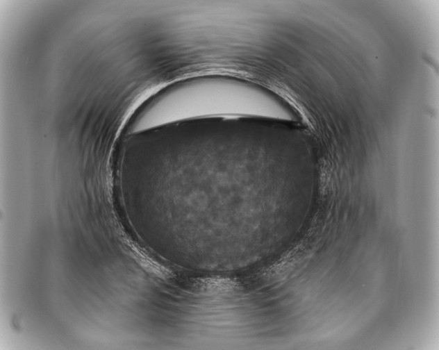 X0000096991024200802221452