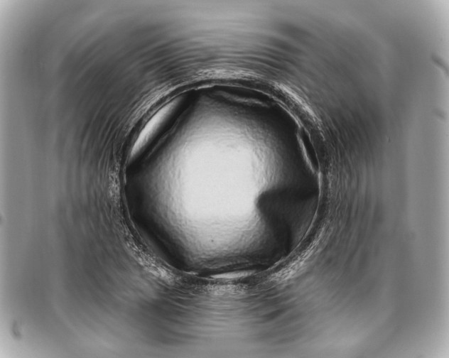 X0000096991025200802221452