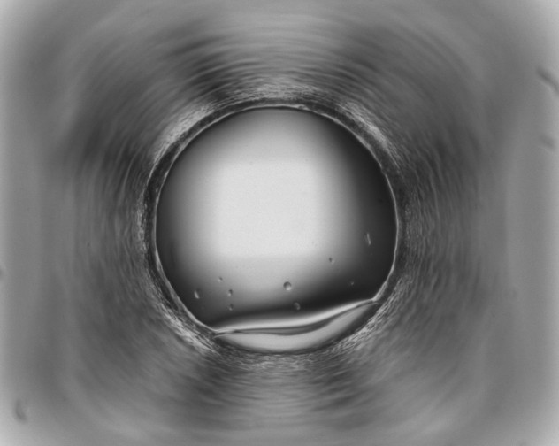 X0000096991026200802221452