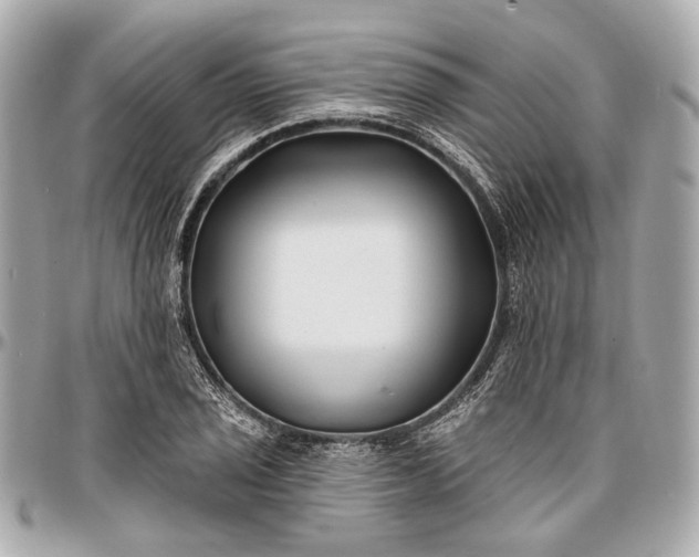 X0000096991029200802221453