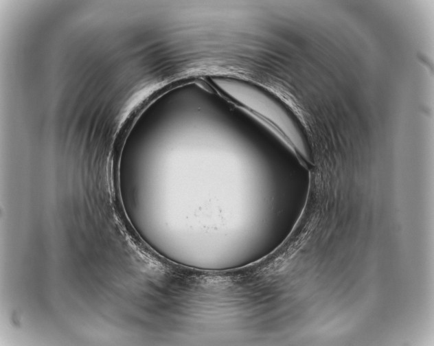 X0000096991030200802221453