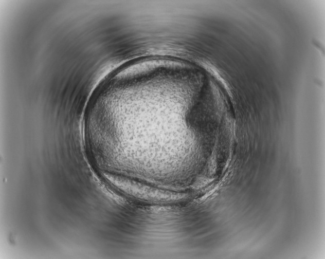 X0000096991032200802221453