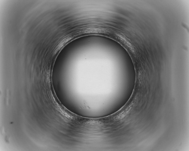 X0000096991033200802221453