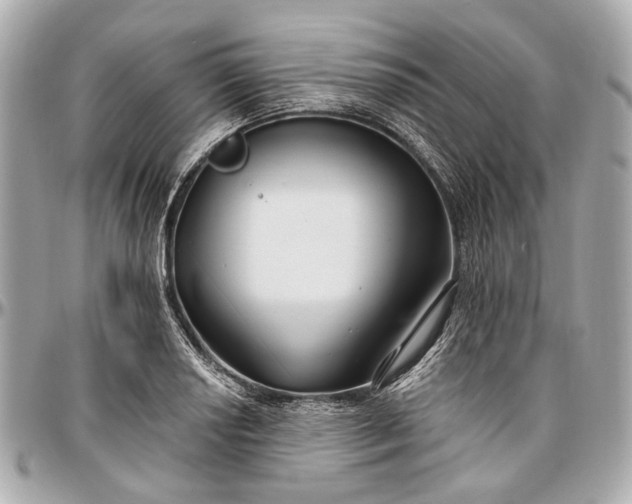 X0000096991034200802221453
