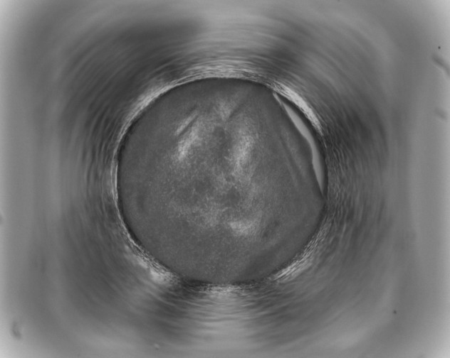 X0000096991035200802221453