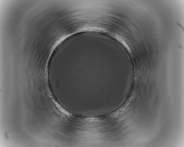 X0000096991037200802221453