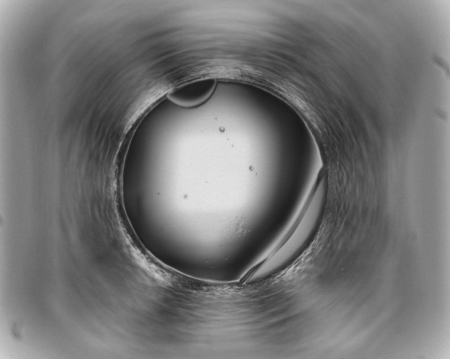 X0000096991042200802221453