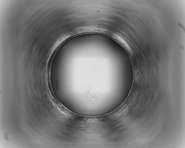 X0000096991043200802221453