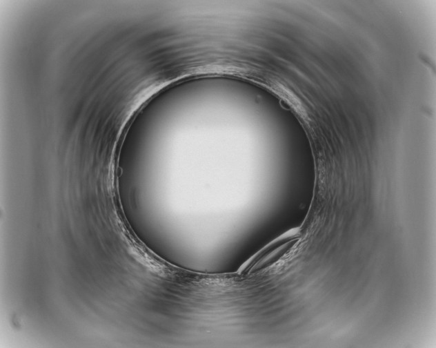 X0000096991044200802221453
