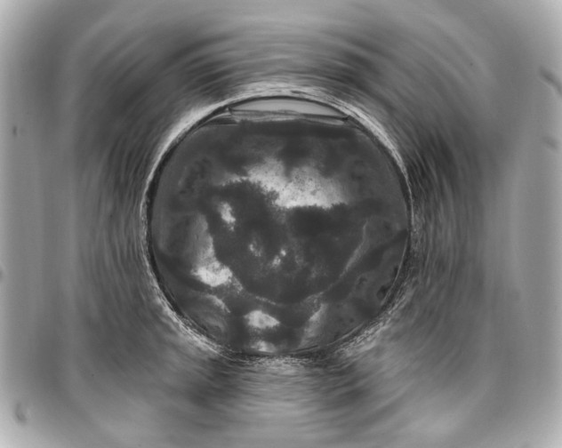 X0000096991045200802221453