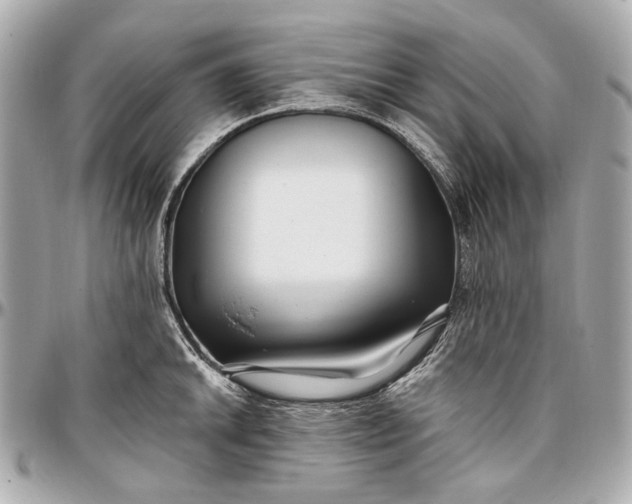 X0000096991046200802221453