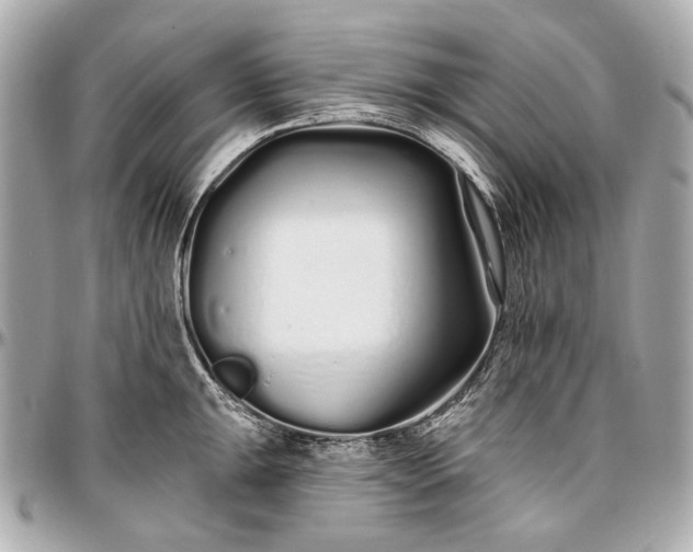 X0000096991047200802221453