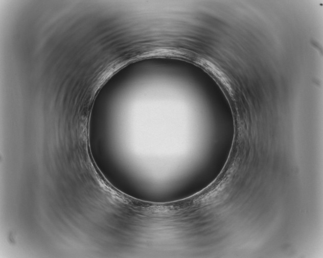 X0000096991049200802221453