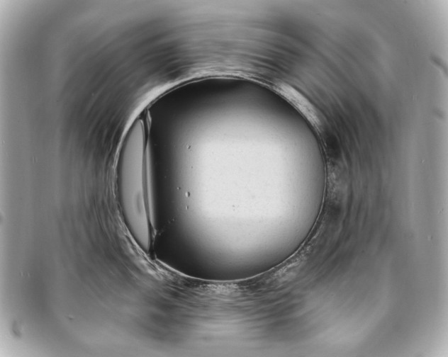 X0000096991052200802221453