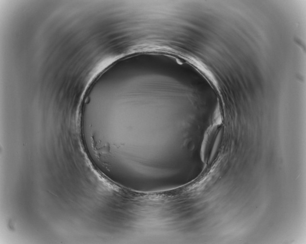 X0000096991053200802221453