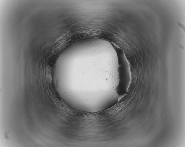 X0000096991058200802221452