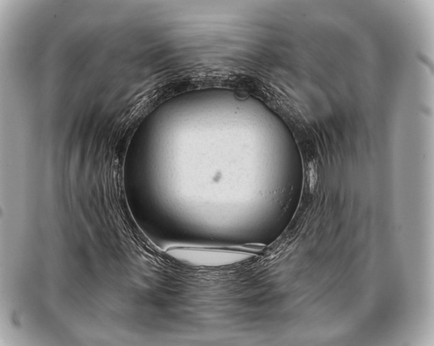 X0000096991059200802221452