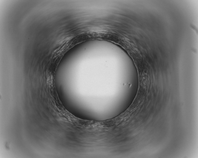 X0000096991061200802221452