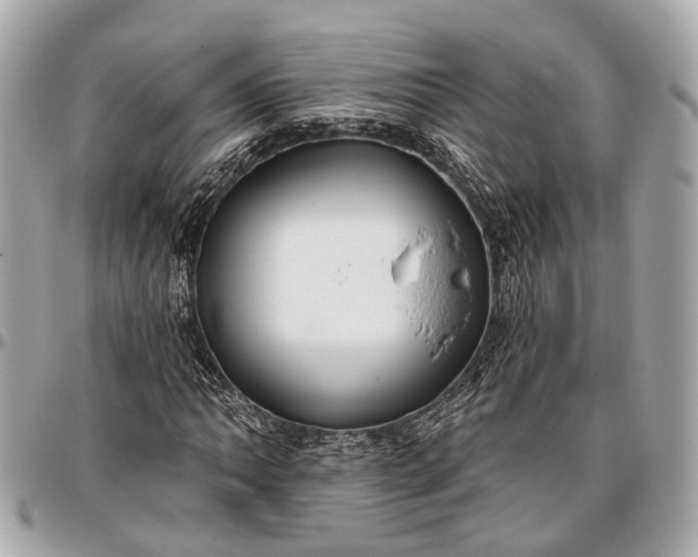 X0000096991062200802221452