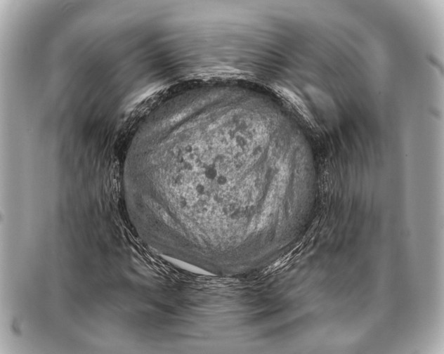 X0000096991063200802221452