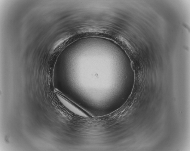 X0000096991064200802221452
