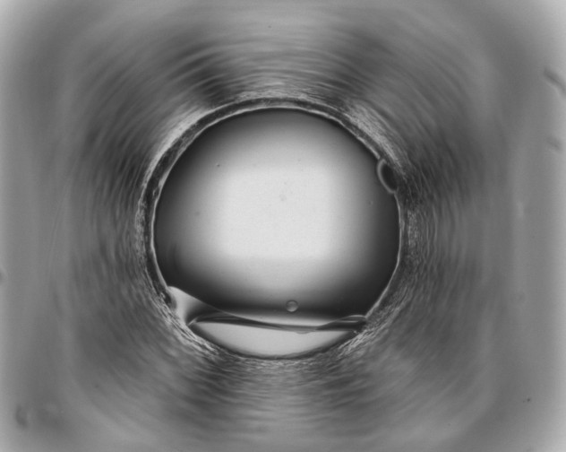 X0000096991068200802221452