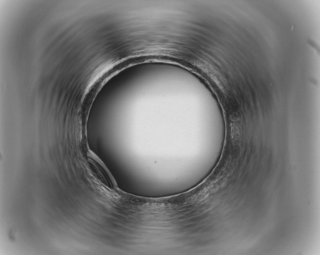 X0000096991069200802221452