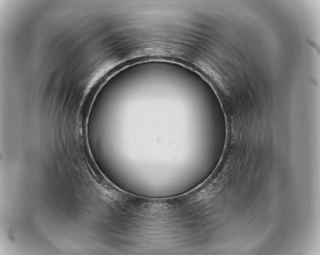 X0000096991070200802221452