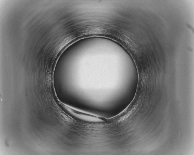 X0000096991073200802221452
