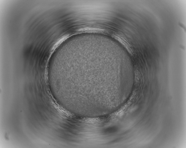 X0000096991074200802221452
