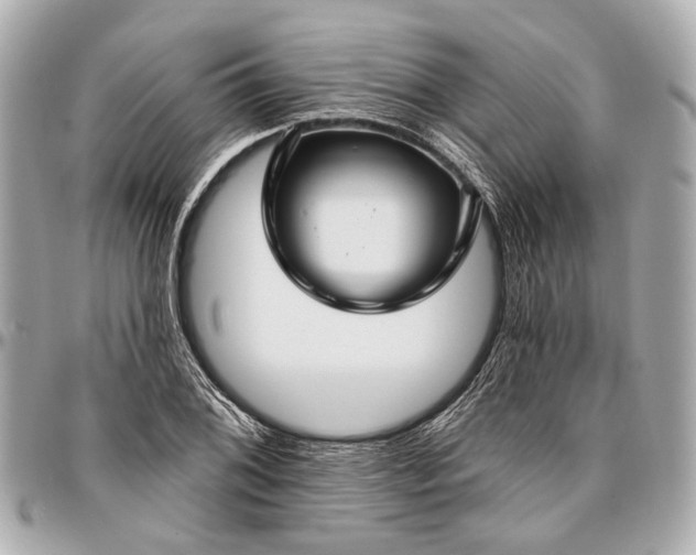 X0000096991076200802221452