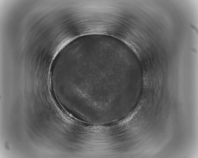 X0000096991077200802221452