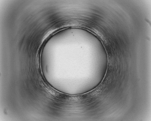 X0000096991078200802221452