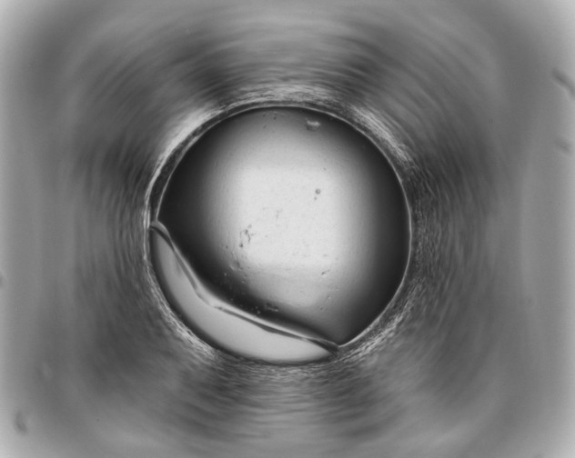 X0000096991079200802221452