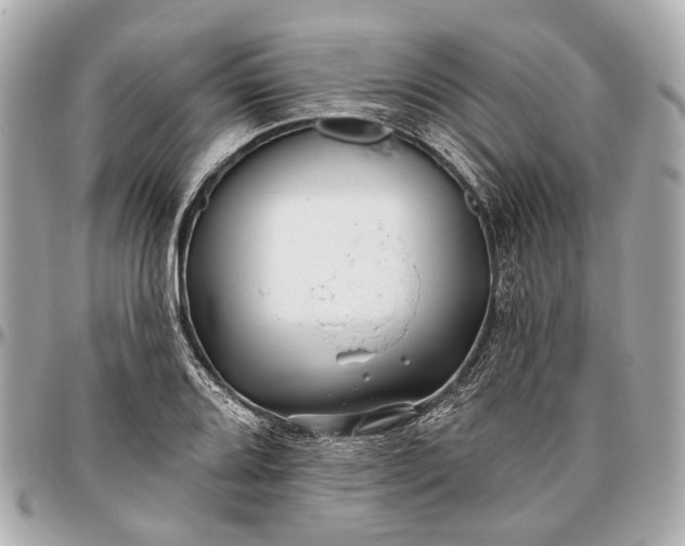 X0000096991080200802221452