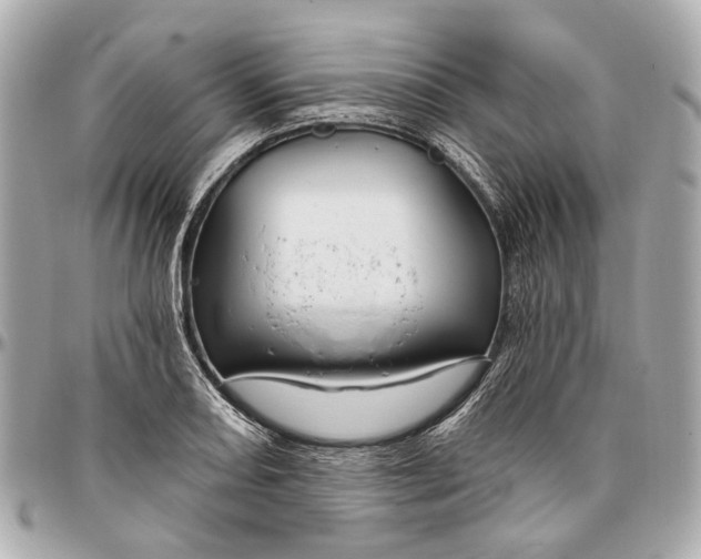 X0000096991082200802221452