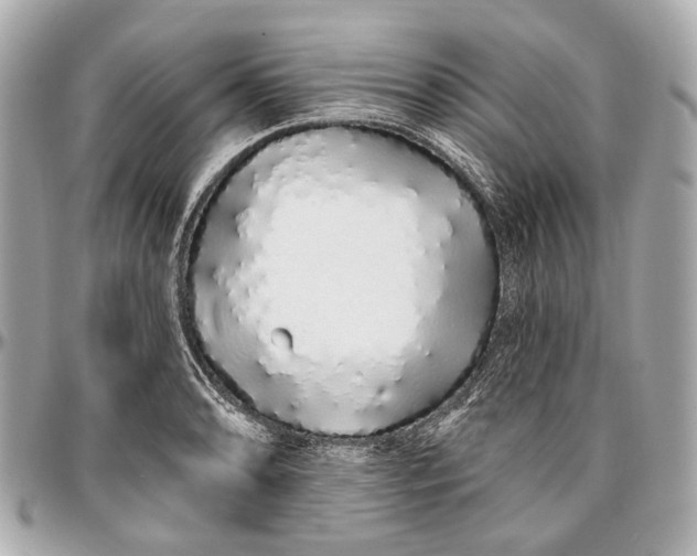 X0000096991086200802221452