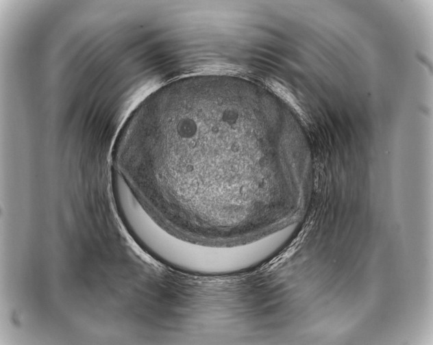 X0000096991087200802221452
