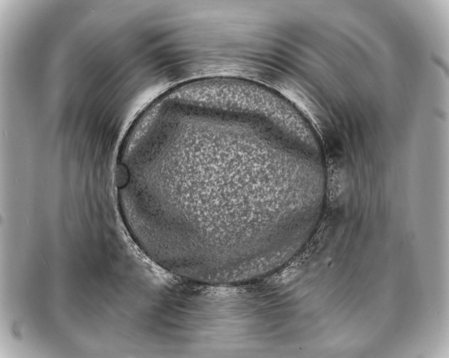 X0000096991088200802221452