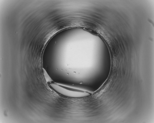 X0000096991089200802221452