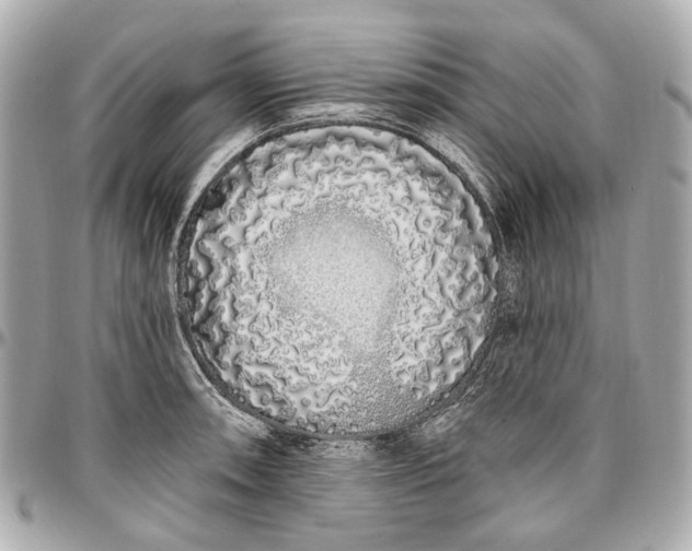 X0000096991090200802221452