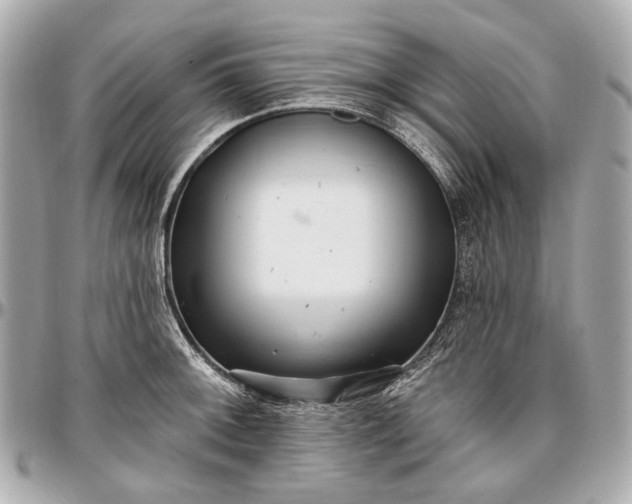 X0000096991092200802221452