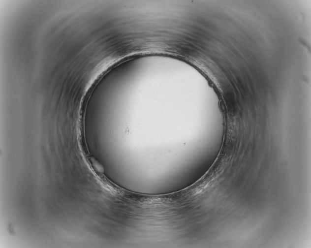 X0000096991093200802221452