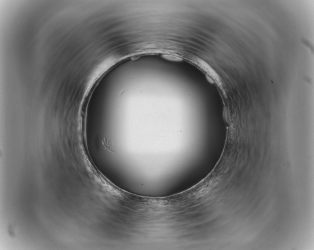 X0000096991096200802221452