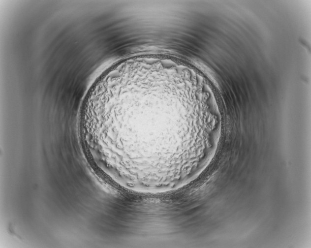 X0000096991098200802221452