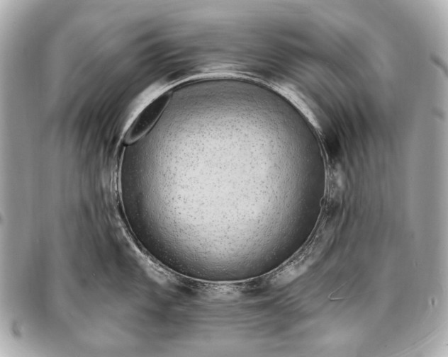 X0000096991101200802221451