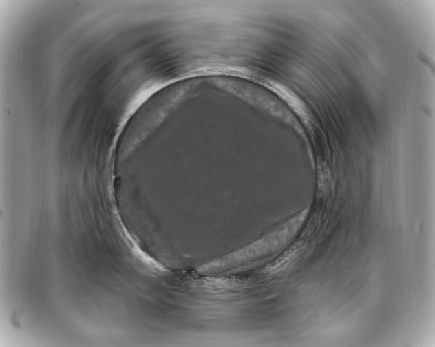 X0000096991102200802221451