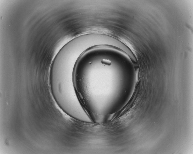 X0000096991103200802221451